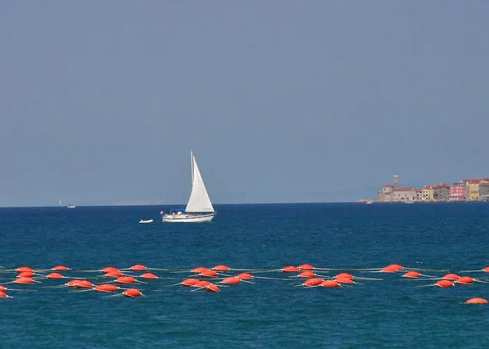 פארק נופש Kanegra Plava Laguna 2*